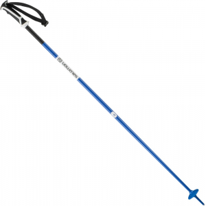 Salomon Arctic Ski Poles