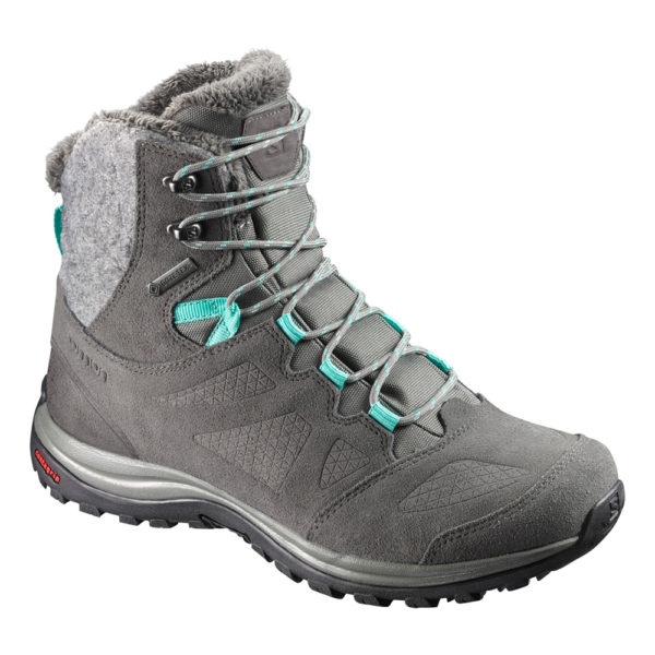 Ellipse Winter GTX Wms