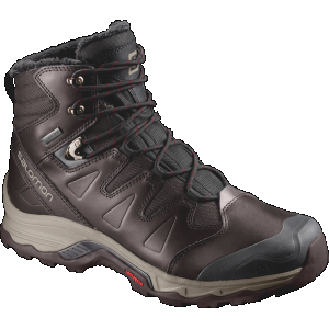 Salomon Men's Quest Winter GTX Boots