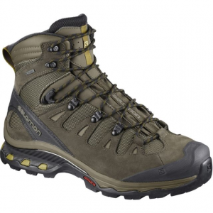 Salomon Quest 4D 3 GTX Backpacking Boots Mens, Wren/Bungee Cord/Green Sulphur, 10 US