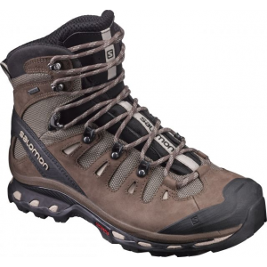 Salomon Quest 4D 2 GTX Backpacking Boot - Men's-Fossil/Rain Drum/Humus-Medium-7.5