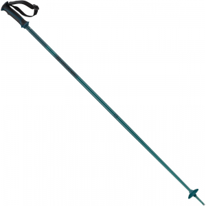 Salomon Arctic Ski Poles