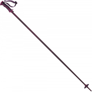 Salomon Women's Arctic Ski Poles